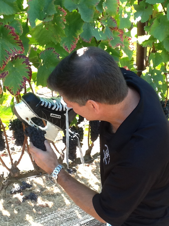 Jim cutting grapes with skate