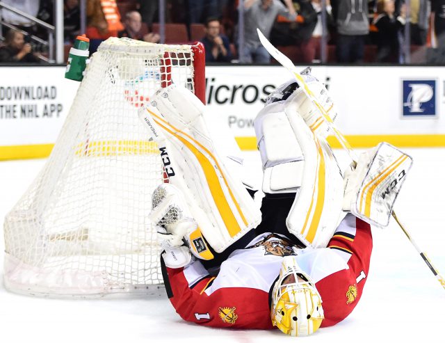 Florida Panthers v Anaheim Ducks