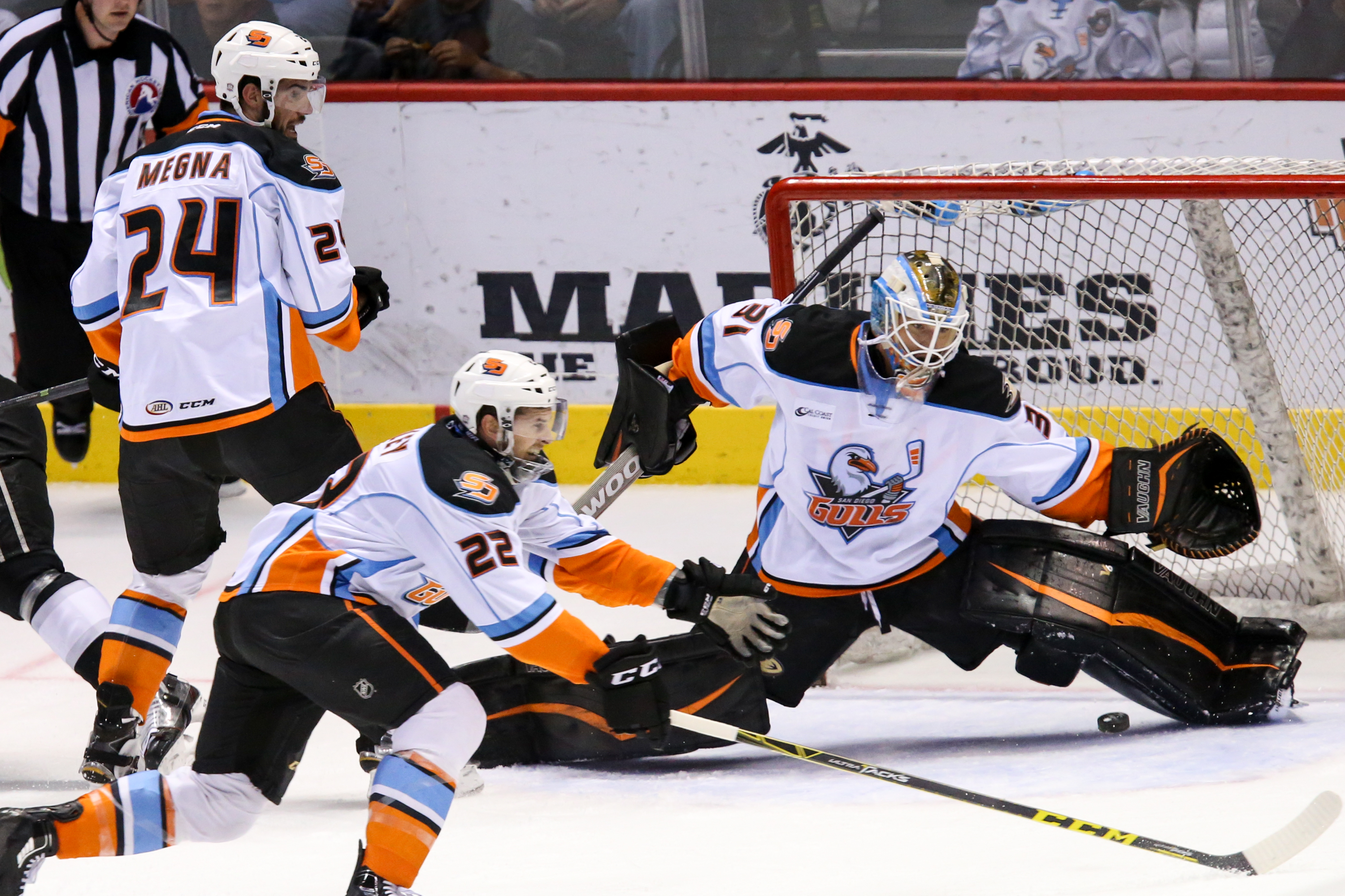 Vince Rappleyea / San Diego Gulls