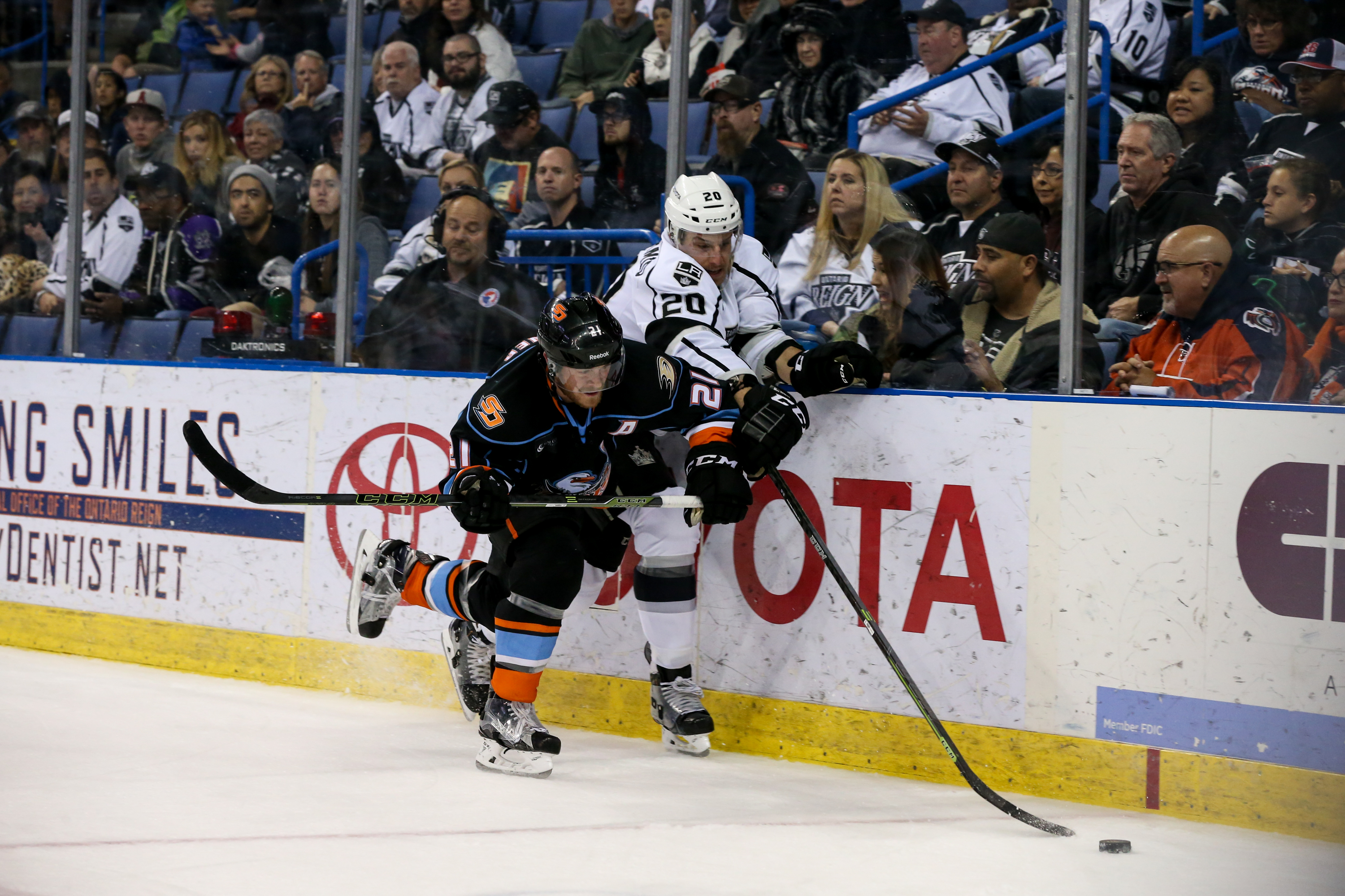 Vince Rappleyea / San Diego Gulls