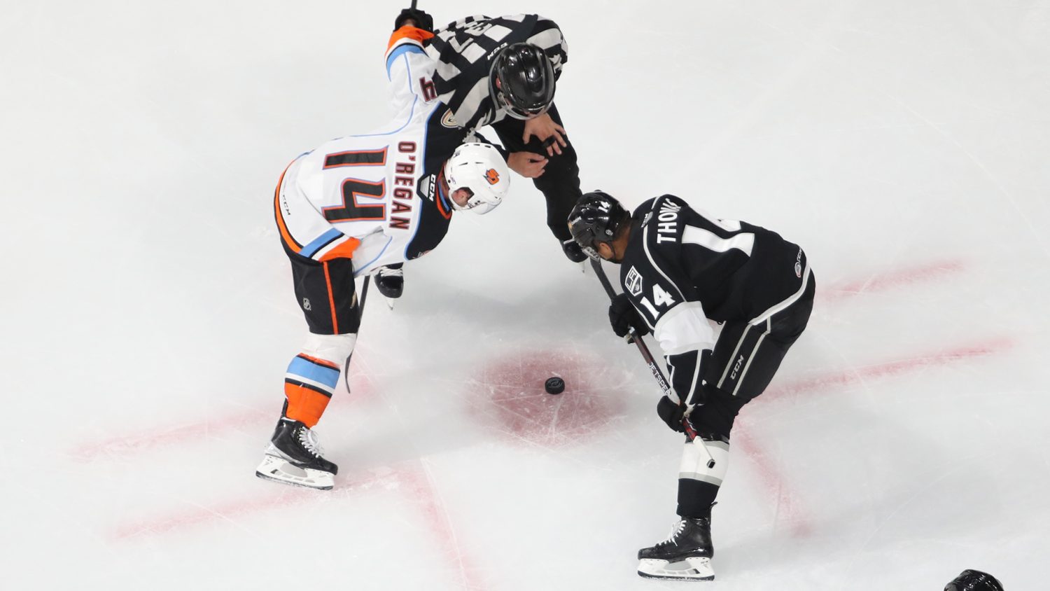 Ontario Reign vs. San Diego Gulls: Preview, Reign Drops, Broadcast