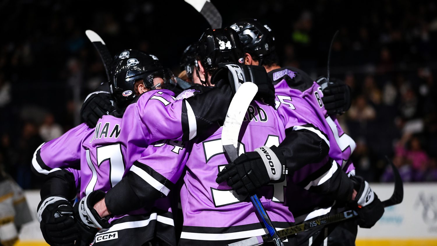 tampa bay lightning purple jersey