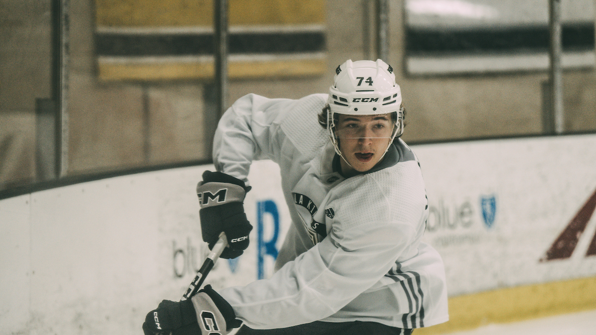 5 things we learned about the L.A. Kings in training camp – Press