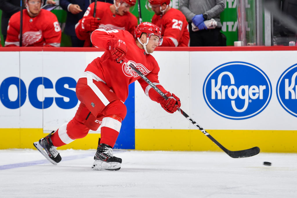 Detroit Red Wings on Twitter: The #RedWings today assigned defenseman Joe  Hicketts to the AHL's Grand Rapids Griffins.  /  Twitter