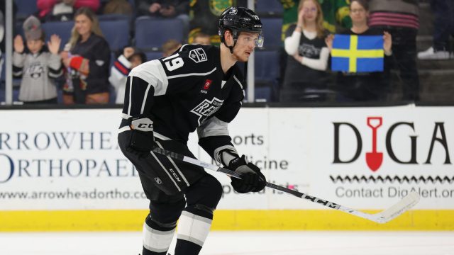 Summer Signings for the Ontario Reign - Wylie, Inamoto, Pavlychev - LA  Kings Insider