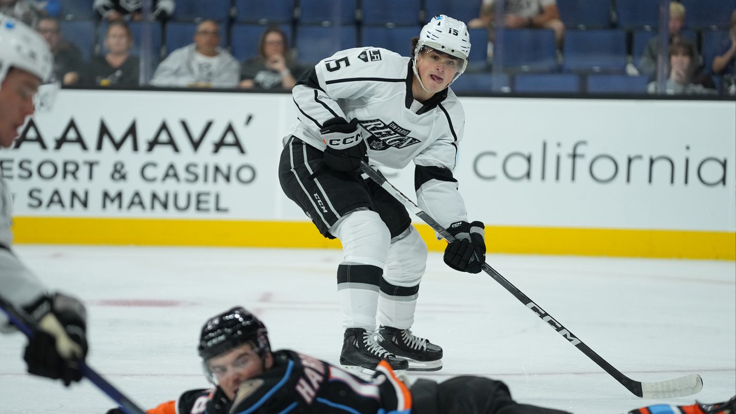 Gulls Games Postponed and San Diego Players Sent to NHL Taxi Squad